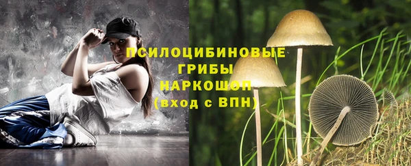 тгк Нефтекумск