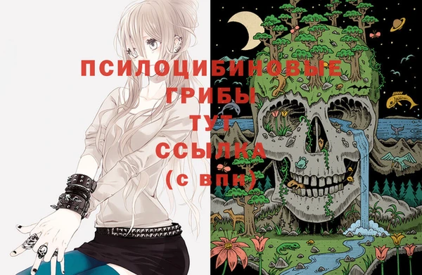 apvp Нея