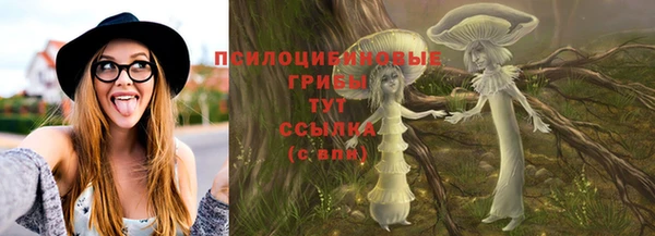 ешки Нефтегорск