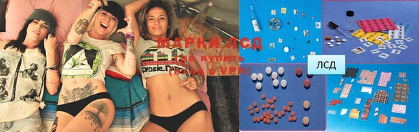 apvp Нея