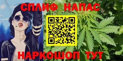 гидра Гусев