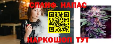 гидра Гусев