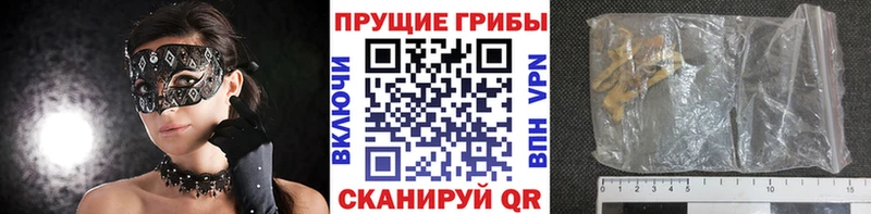 Псилоцибиновые грибы MAGIC MUSHROOMS  гидра онион  Магнитогорск 