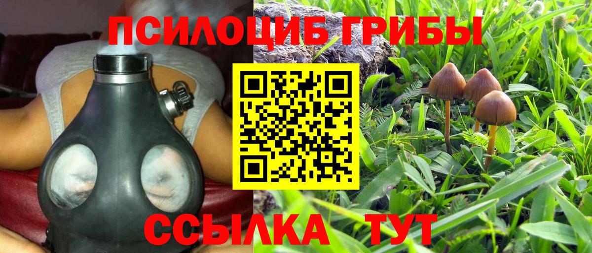 Магнитогорск  Галлюциногенные грибы MAGIC MUSHROOMS  Псилоцибиновые грибы мухоморы  хочу   Вход с VPN 