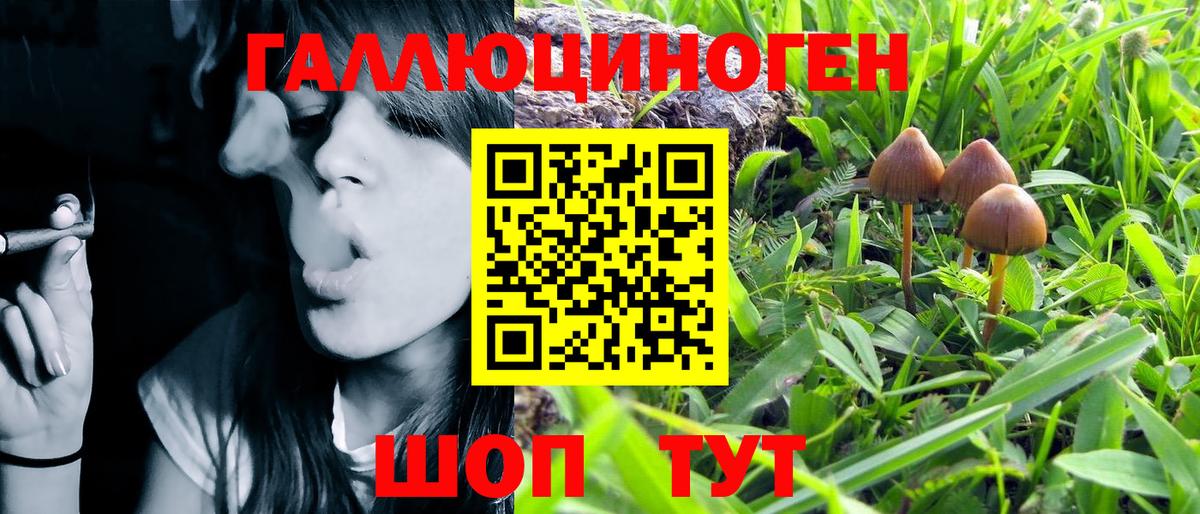 Псилоцибиновые грибы GOLDEN TEACHER Магнитогорск